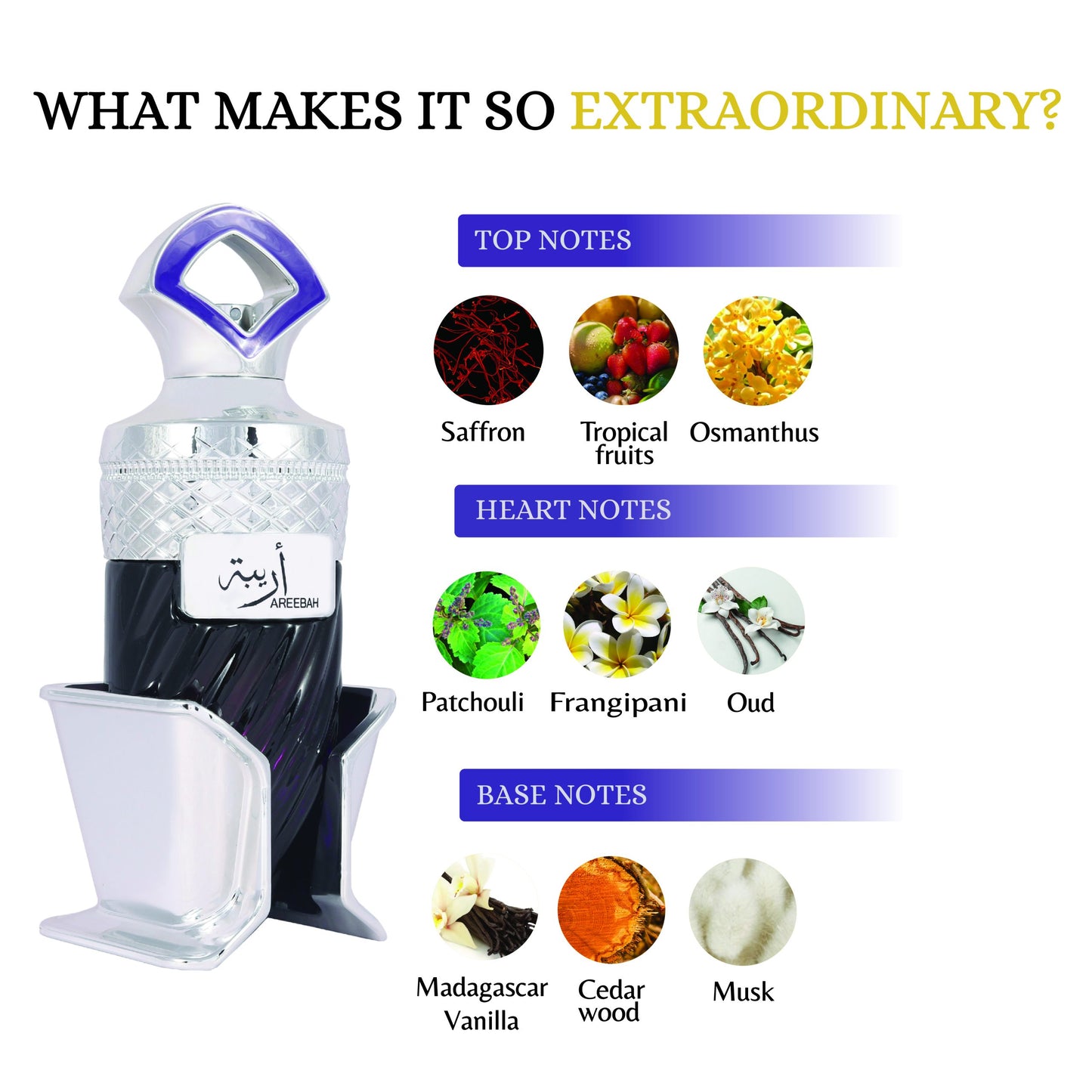 Riiffs Areebah Extrait De Parfum 100ml