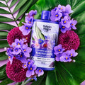 Tulipán Negro Champú micelar purificante 400ml