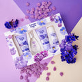 Coffret Tulipan Negro Douce Violette