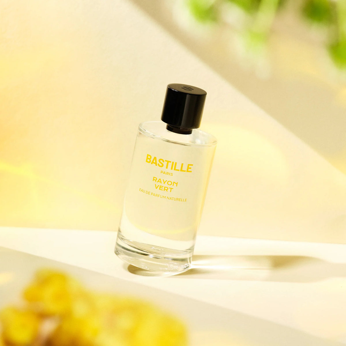Bastille Rayon Vert
