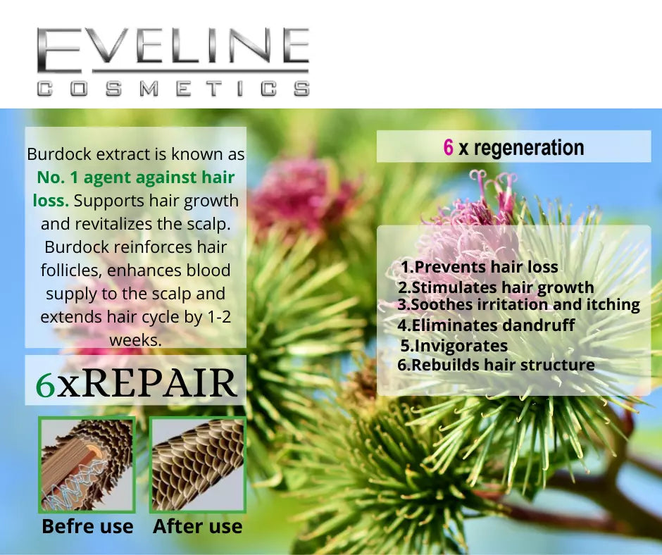 Eveline Cosmetics Bio Organic Shampoo 400ml