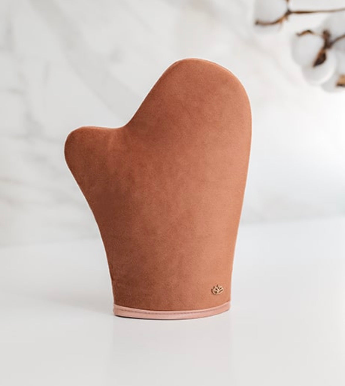 Bundle Cocosolis Bronze Goddess