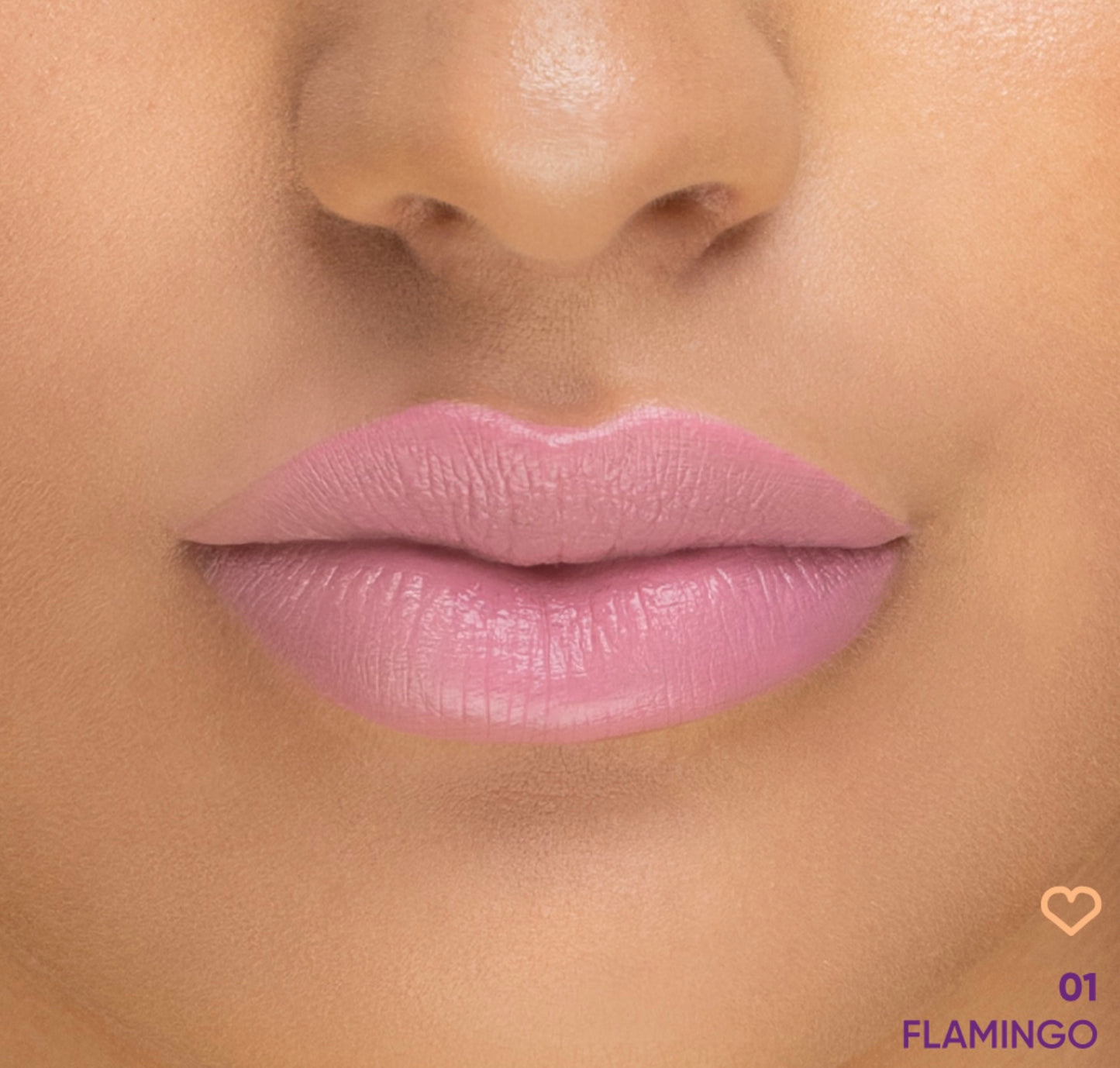 Nejha Lip-phoria Rossetto Liquido Matt 4,5ml