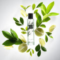 Emanuela Biffoli Stellae Colonia Intensa 100ml