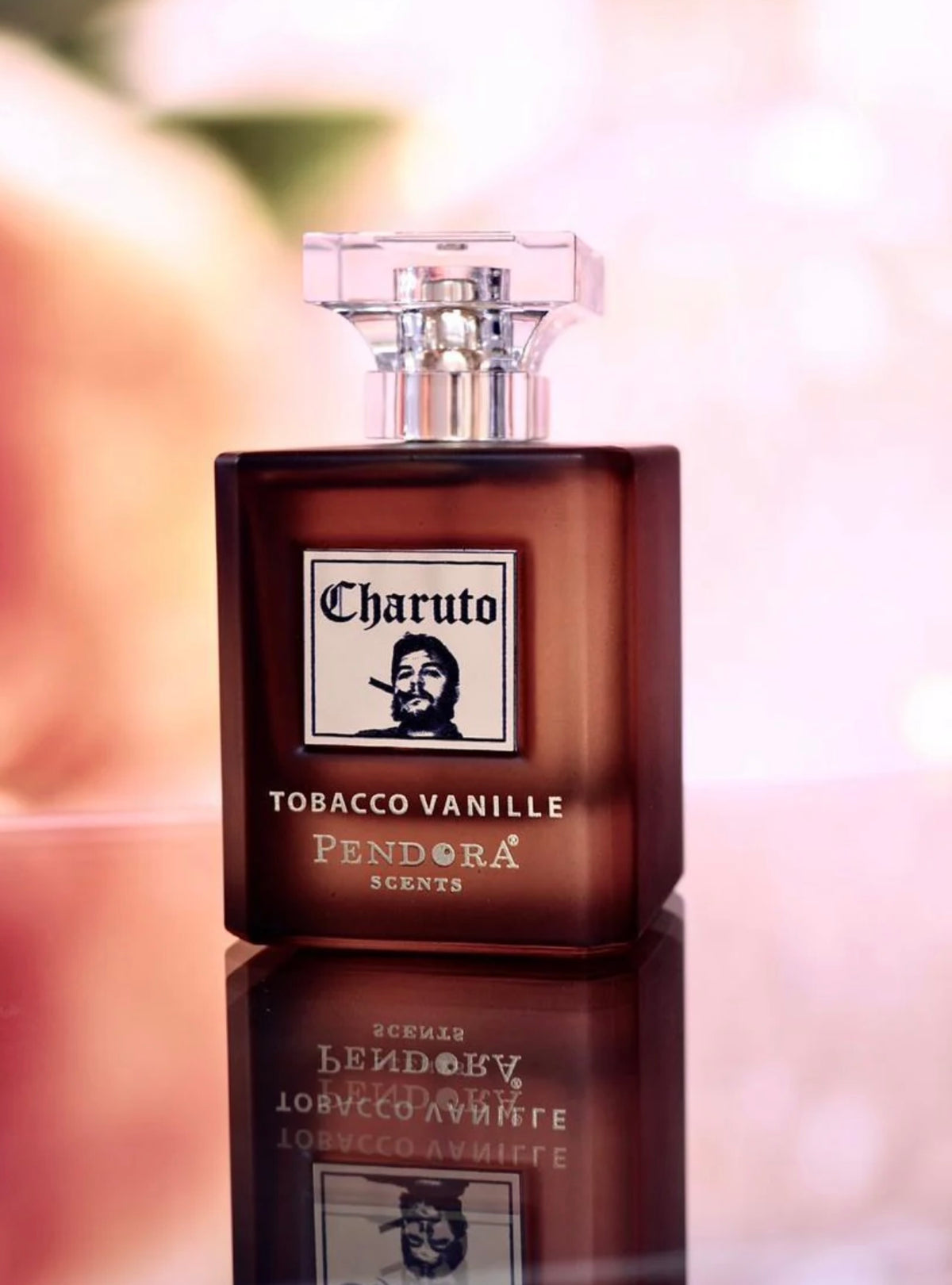 Paris Corner Pendora Scents Charuto Tobacco Vanille edp 100ml
