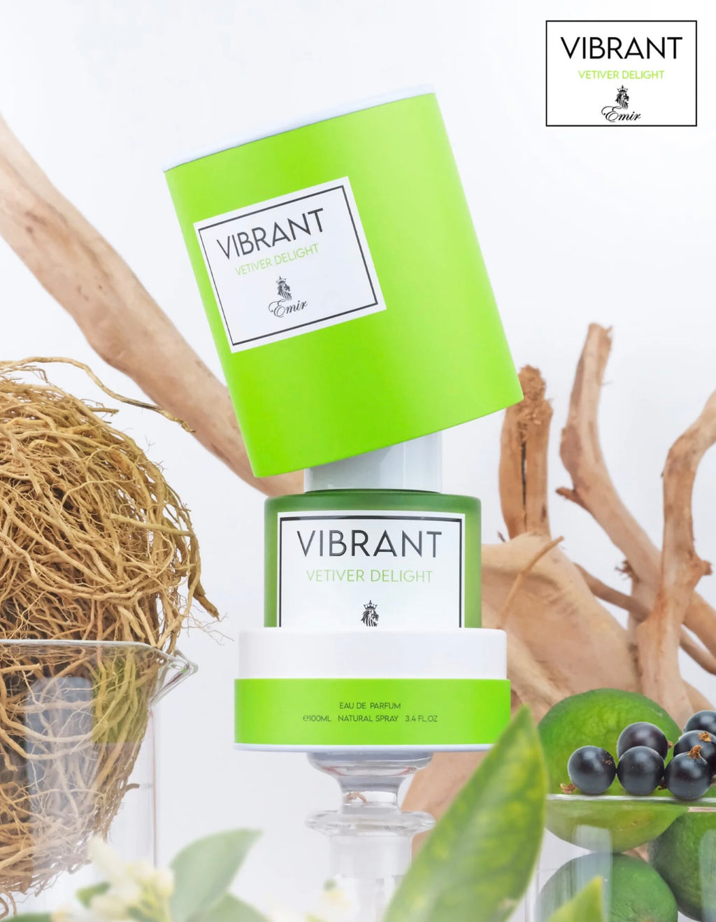 Paris Corner Vibrant Vetiver Delight edp 100ml